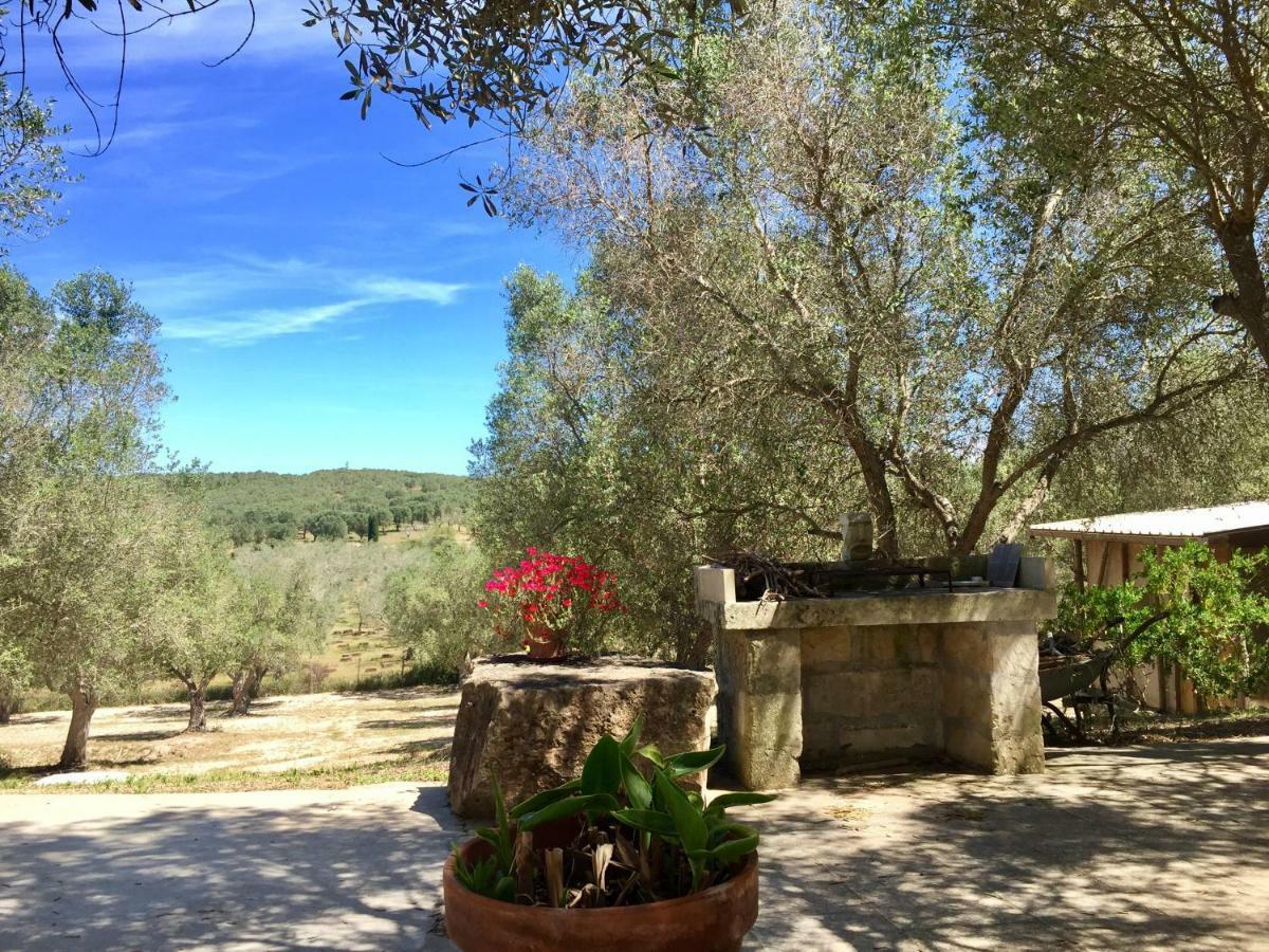 Le Palombelle Casa Vacanze Otranto Exteriör bild