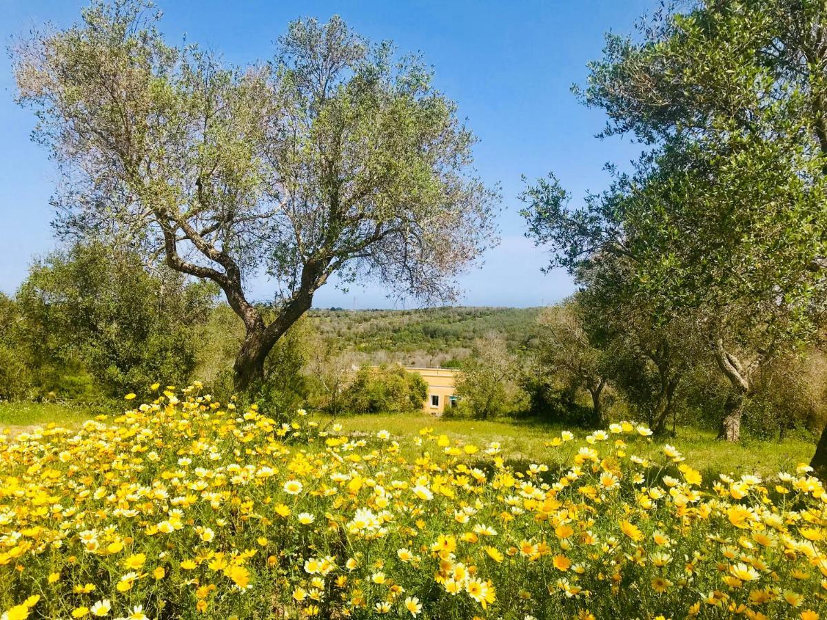 Le Palombelle Casa Vacanze Otranto Exteriör bild